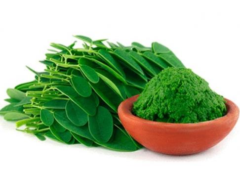 Moringa | Conheça os Benefícios para a Saúde Dessa Iguaria