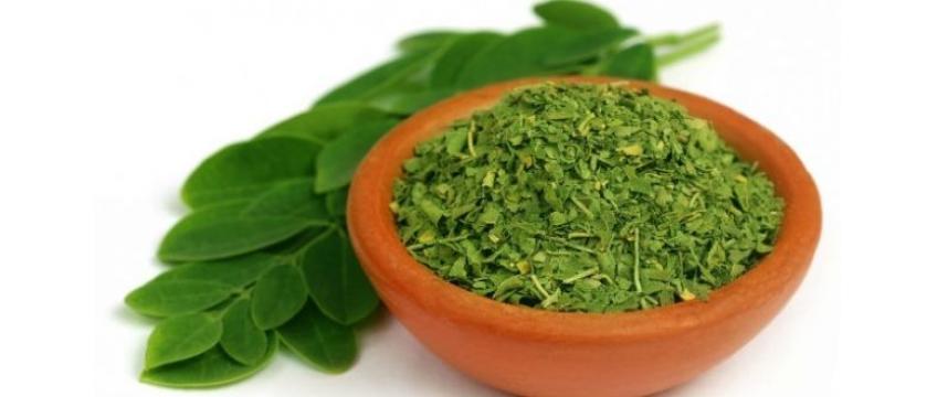 Moringa